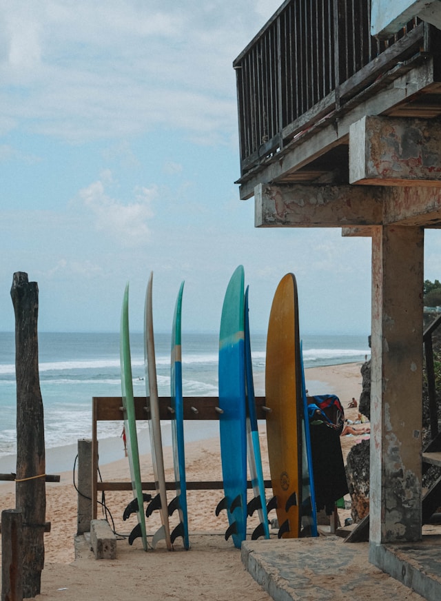 Surfing for Beginners